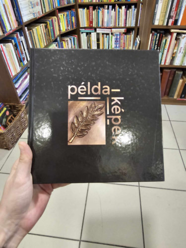 Feldman Lszl - Kotn Sndorn - Plinksn - Pldakpek (Dabas 2019)