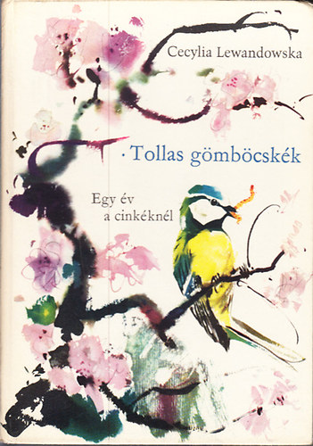 Cecylia Lewandowska - Tollas gmbcskk