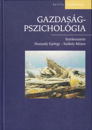 Hunyady Gyrgy  (Szerk.); Szkely Mzes (Szerk.) - Gazdasgpszicholgia