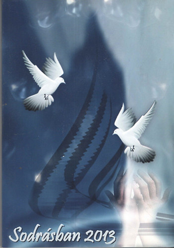 Sodr�sban 2013