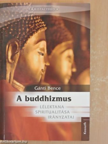 Gnti Bence - A Buddhizmus llektana, spiritualitsa s irnyzatai