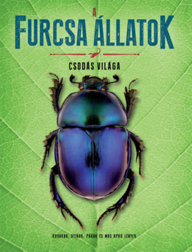 A.a. Fern�ndez - A furcsa �llatok csod�s vil�ga