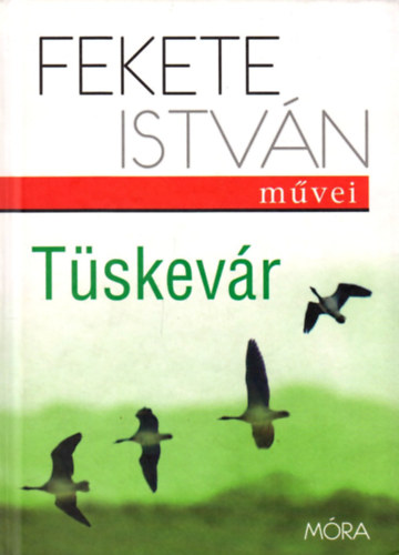 Fekete Istvn - Tskevr