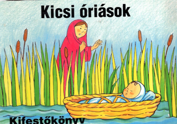 Christian Focus - Kicsi risok Kifestknyv