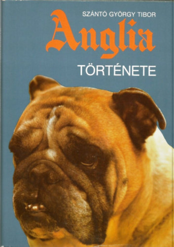 Sznt Gyrgy Tibor - Anglia trtnete