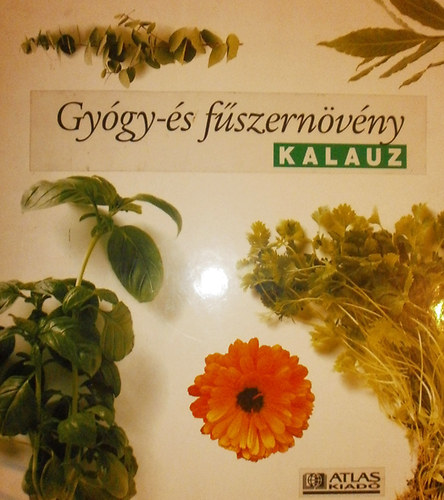 Atlasz Kiad - Gygy- s fszernvny kalauz  (gyjtknyv)