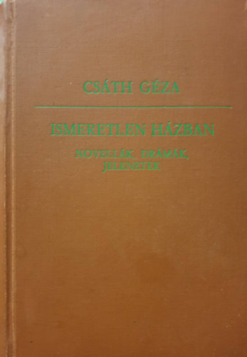 Csth Gza - Ismeretlen hzban I.