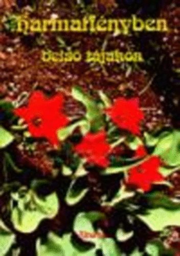 Dr. Mérő Éva (szerk.) - Harmatfényben - belső tájakon