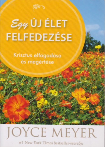 Joyce Meyer - Egy új élet felfedezése - Krisztus elfogadása és megértése