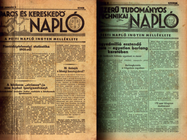 Több szerkesztő - 6 féle Pesti Napló melléklet egybekötve: Iparos és Kereskedő napló + Népszerű tudományos és technikai napló + Orvosi napló + Jogi napló + Tisztviselő napló + Asszony leány család naplója (1932)