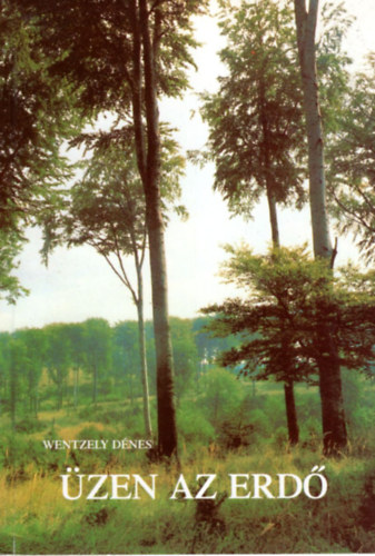 Wentzely Dnes - zen az erd