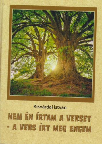 Kisvrdai Istvn - Nem n rtam a verset - a vers rt meg engem