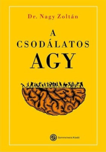 Dr. Nagy Zolt�n - A csod�latos agy
