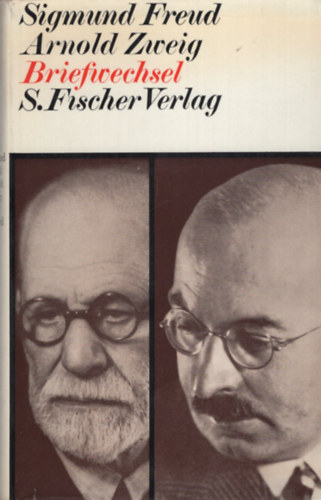 Arnold Zweig Sigmund Freud - Briefwechsel