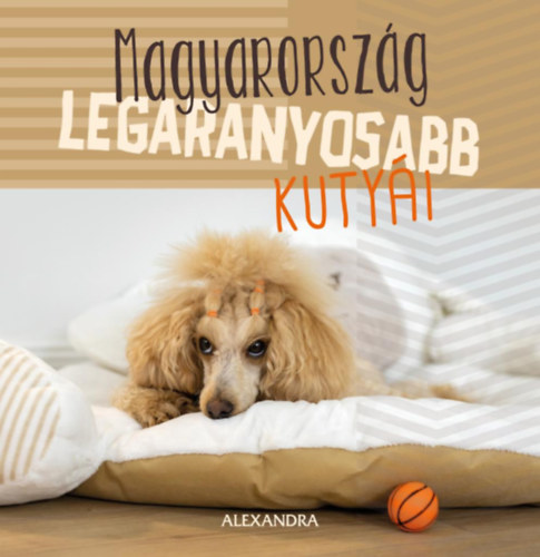 Magyarorsz�g legaranyosabb kuty�i