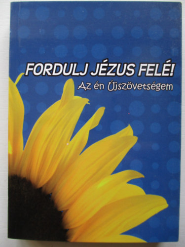 Fordtotta: Kroli Gspr - Fordulj Jzus fel! - Az n jszvetsgem