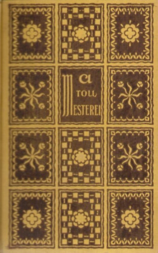 Szederk�nyi Anna - Az ismeretlen fiatalember