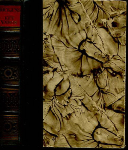 Charles Dickens - K�t v�ros t�rt�nete