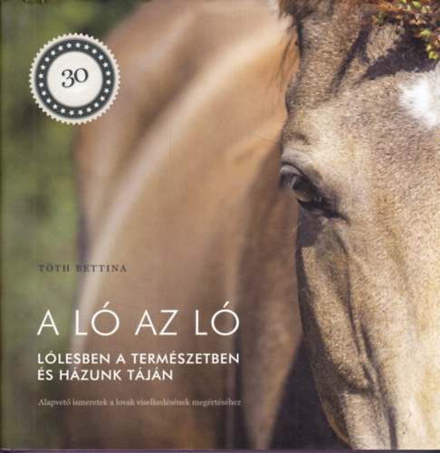 Tth Bettina - A l az l