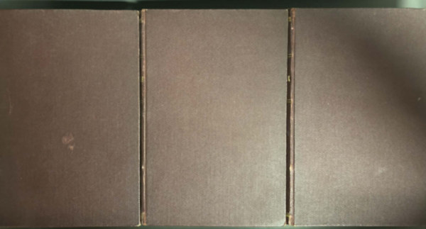 Victor Hugo - A nyomorultak I-III.