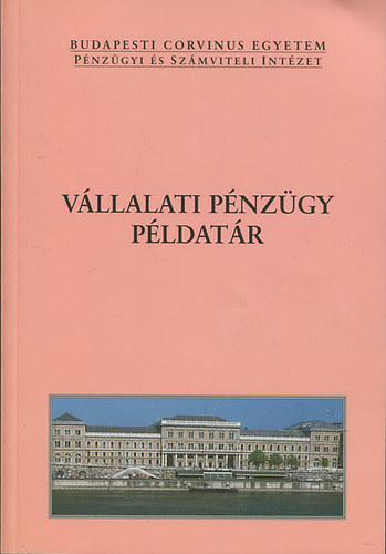 Fazakas Gergely - Vllalati pnzgy pldatr