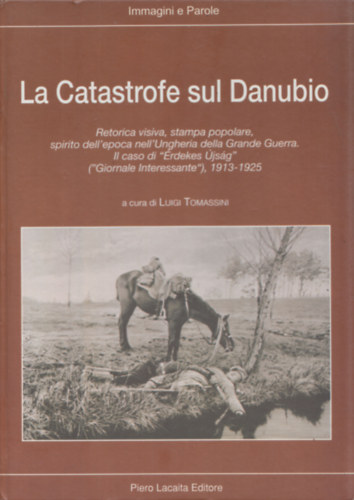 Luigi Tomassini - La Catastrofe sul Danubio