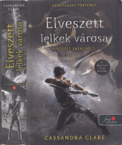 Cassandra Clare - Elveszett lelkek vrosa (A Vgzet Ereklyi 5.)