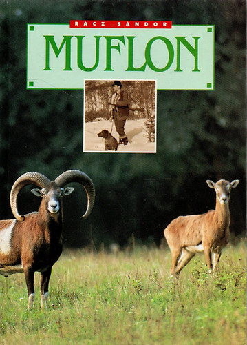 R�cz S�ndor - Muflon