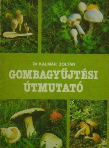Dr. Szlifka Anna, Dr. L�vai Judit  Kalm�r  Zolt�n (lektor) - Gombagy�jt�si �tmutat� - �ltal�nos tudnival�k a gomb�kr�l, A gomb�k lel�helye, gy�jt�se, sz�ll�t�sa �s t�rol�sa, A m�rges gomb�kr�l �s a gombam�rgez�sr�l