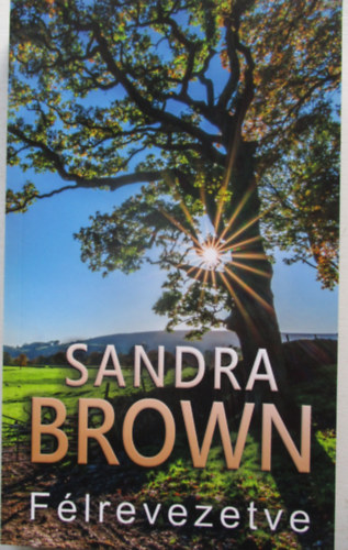 Sandra Brown - Flrevezetve