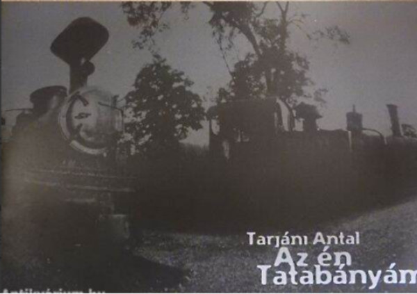 Tarjni Antal - Az n Tatabnym