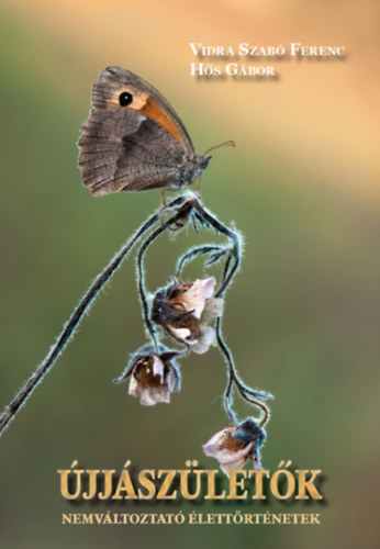 Hs Gbor Vidra Szab Ferenc - jjszletk