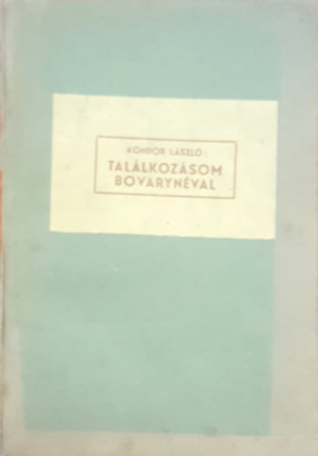 Kondor László - Találkozásom bovarynéval