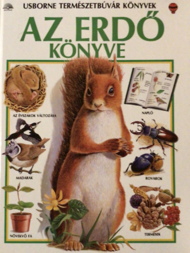 Barbara Cork - Az erd knyve (Usborne termszetbvr knyvek)