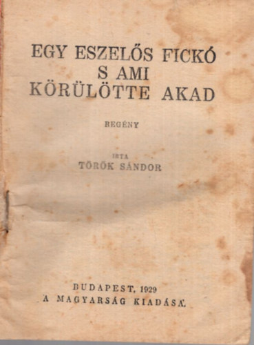 Török Sándor - Egy eszelős fickó s ami körülötte akad - A Magyarság Könyve 20. sz.