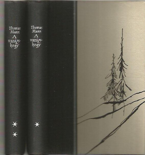 Thomas Mann - A varzshegy 1-2