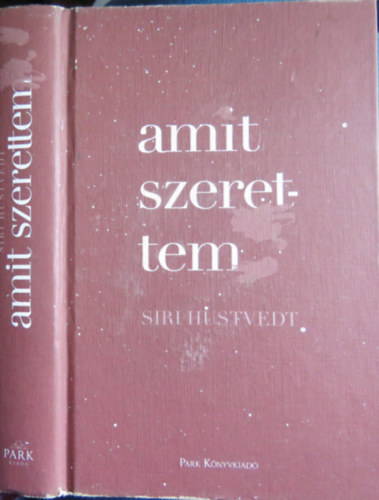 Siri Hustvedt - Amit szerettem