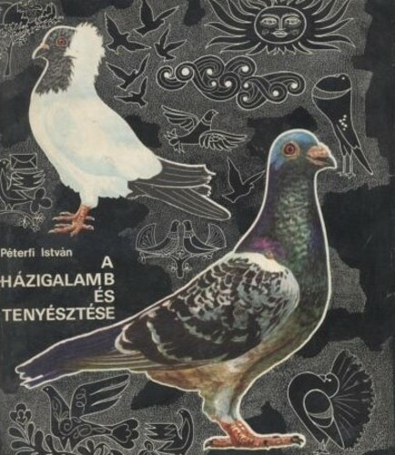 Dr. P�terfi Istv�n - A h�zigalamb �s teny�szt�se