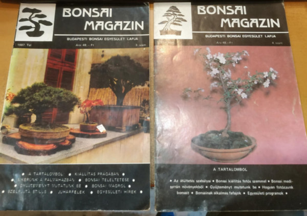 Budapesti Bonsai Egyeslet - 2 db Bonsai Magazin (Budapesti Bonsai Egyeslet Lapja)(szrvnyszmok)