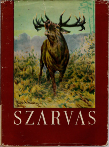 Szederjei kos - Szarvas