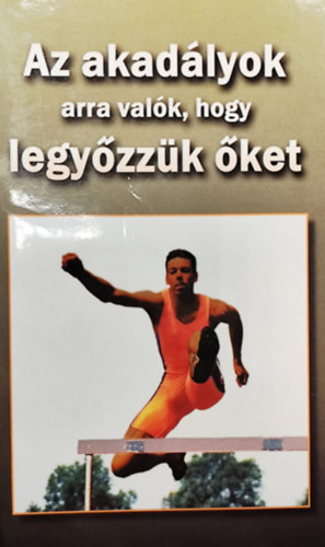 Shannon Shyler - Az akadályok arra valók, hogy legyőzzük őket