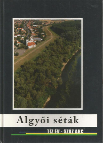 Algyi stk (Tz v - szz arc)