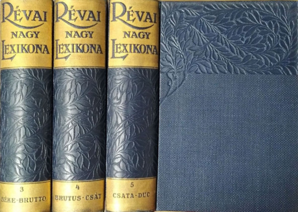 Rvai nagy lexikona, III-V. ktet