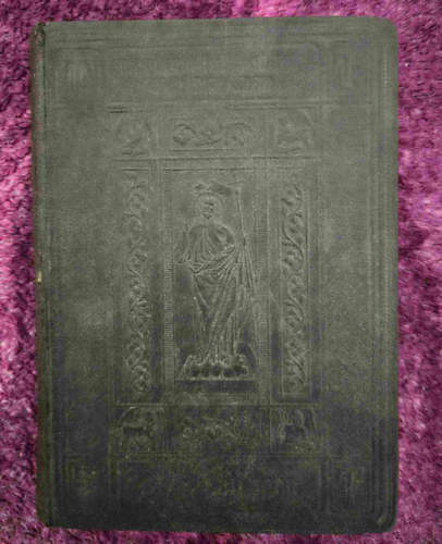 Julius Carolsfeld ill. Martin Luther - Das Neue Testament ( hunder bilder + Psalms 1890)