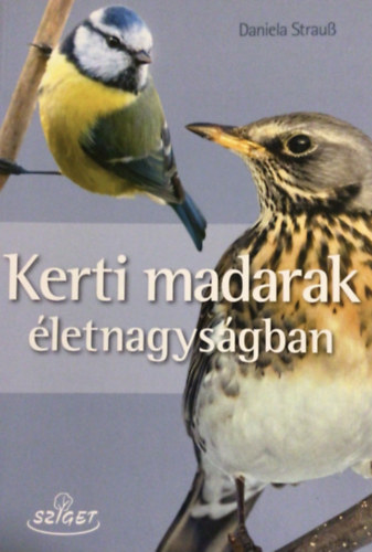 Daniela Strauss - Kerti madarak életnagyságban