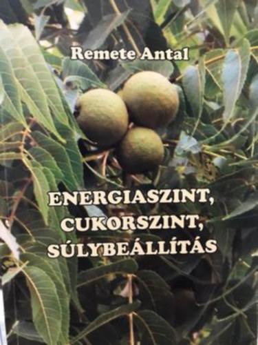 Remete Antal - Energiaszint, cukorszint, slybellts