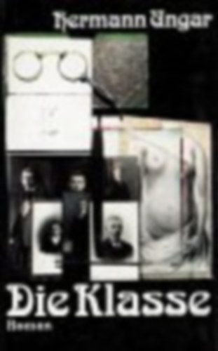 Hermann Ungar - Die Klasse