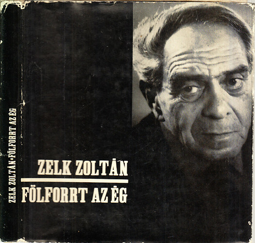 Zelk Zoltn - Flforrt az g (Reich Kroly rajzaival)- hanglemez mellklettel
