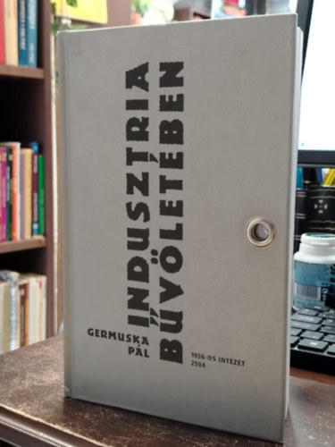 Germuska Pál - Indusztria bűvöletében
