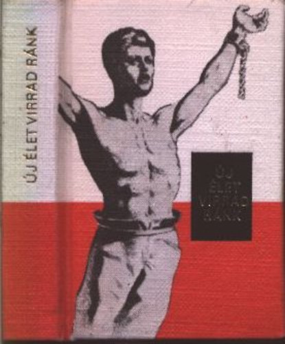 �j �let virrad r�nk- A Magyar Tan�csk�zt�rsas�g korabeli sajt�szemelv�nyekben (minik�nyv)